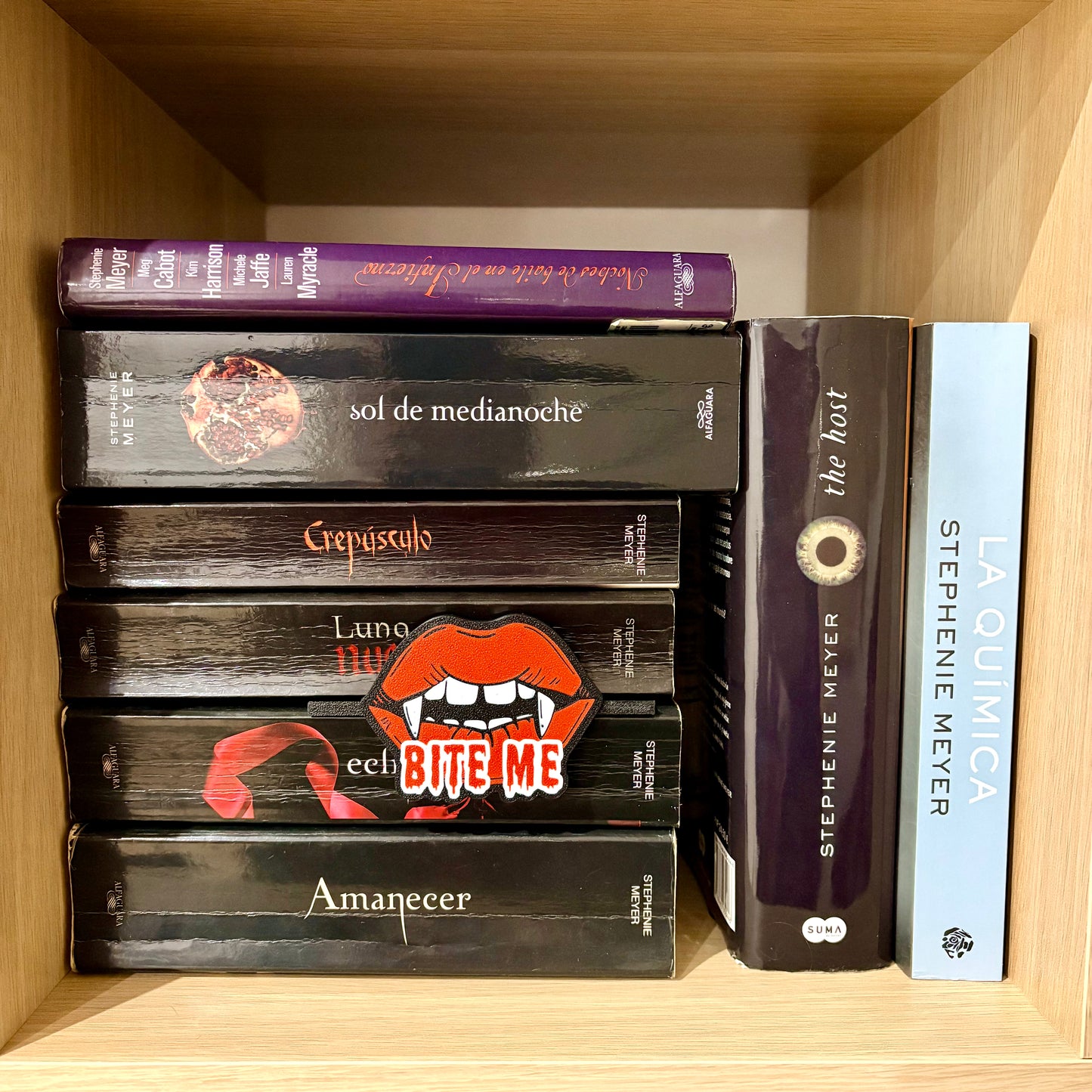 Insignias Literarias para Estantería – Decoración Bookshelf