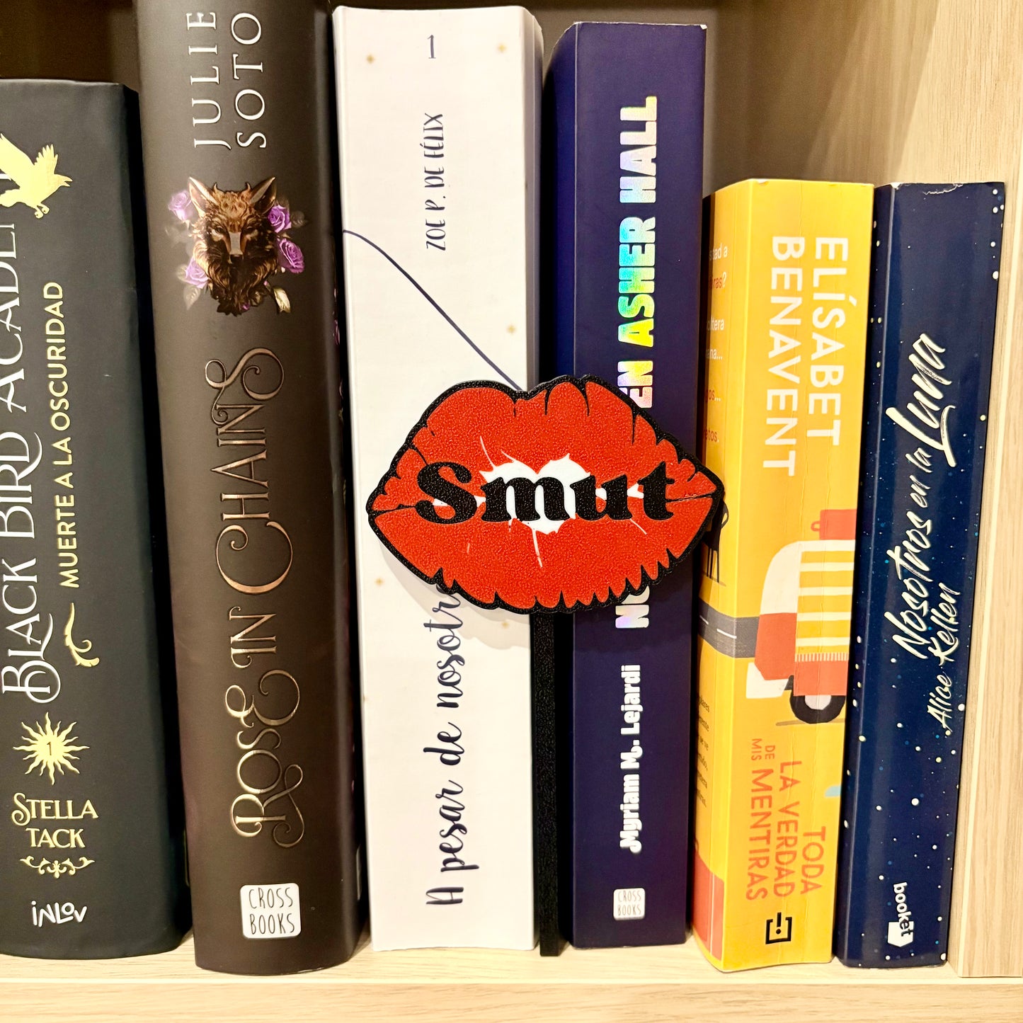 Insignias Literarias para Estantería – Decoración Bookshelf